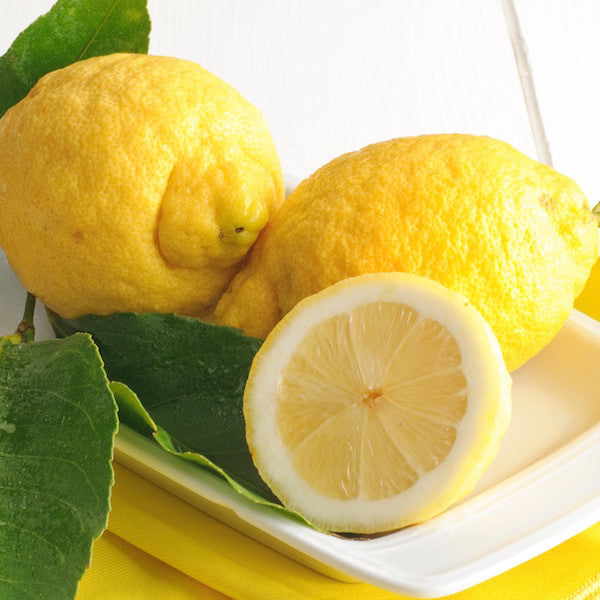 Sicilian Lemon Balsamic Vinegar